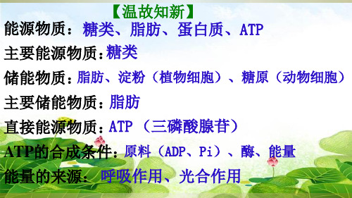 新人教版生物必修一20203-ATP的主要来源——细胞呼吸(共44张PPT)精选优质 课件