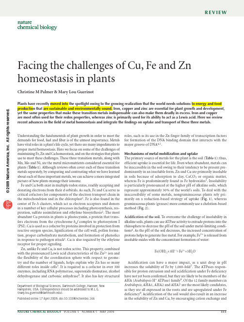 Facing the challenges of Cu_ Fe and Zn homeostasis in plants