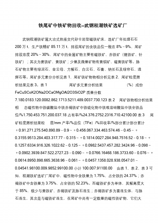 铁尾矿中铁矿物回收—武钢程潮铁矿选矿厂