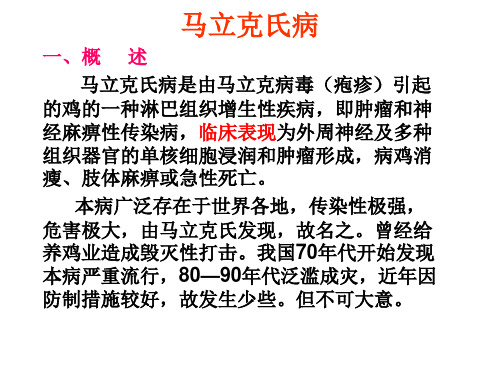 动物传染病 四、马立克氏病
