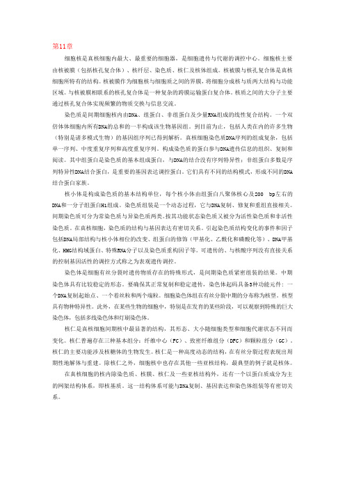 11-细胞核与染色质