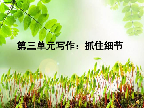 部编优质课一等奖初中语文七年级下册《抓住细节》