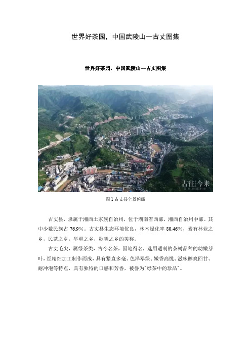 世界好茶园,中国武陵山--古丈图集