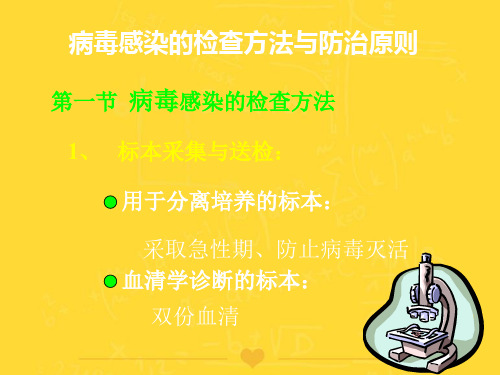 【推选文档】病毒感染的检查方法与防治原则PPT