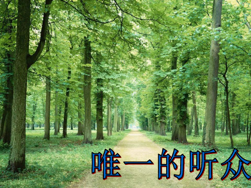 人教版六年级语文上册第三组11唯一的听众课件4