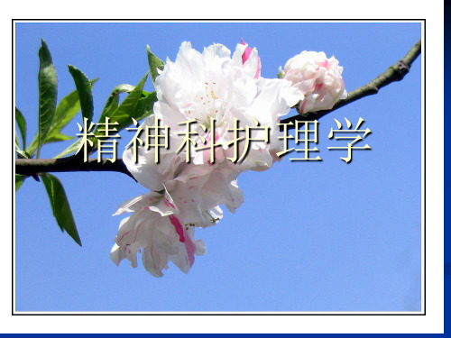 精神科护理学ppt课件