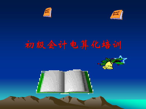 初级财务会计与电算化管理知识分析培训