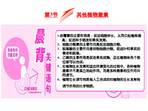 高中生物 必修3 ： 其他植物激素  PPT课件