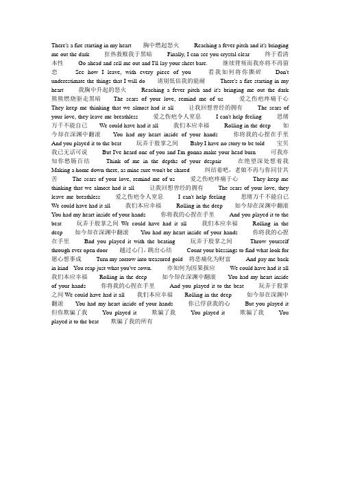 13 王晓雪rolling in  the deep 歌词翻译