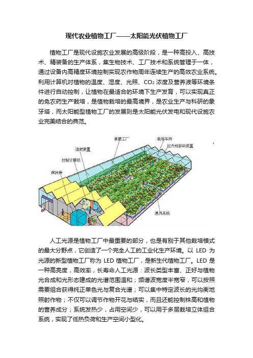 现代农业植物工厂——太阳能光伏植物工厂