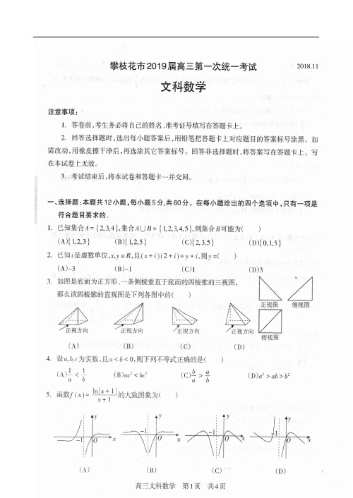 四川省攀枝花市2019届高三上学期第一次统一考试数学(文)试题 扫描版含答案