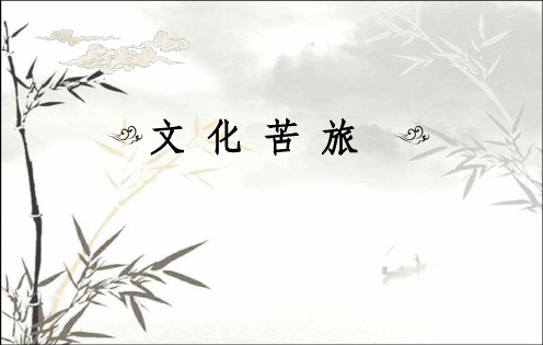 《文化苦旅》读书分享 PPT
