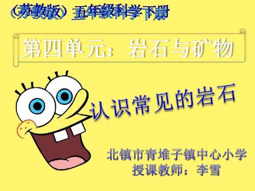五年级科学下册-认识常见岩石4课件-苏教版