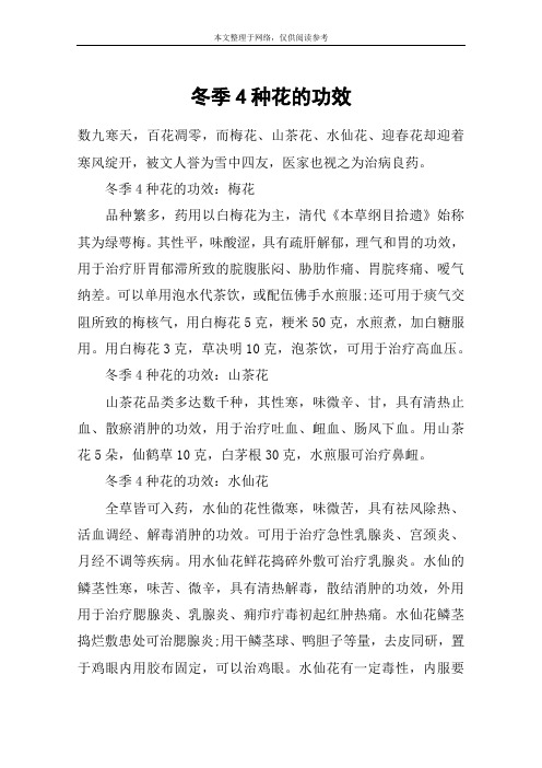 冬季4种花的功效