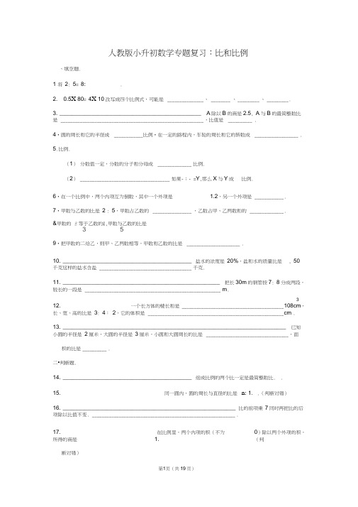 人教版小升初数学专题复习：比和比例