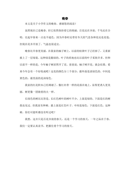晚春_小学作文