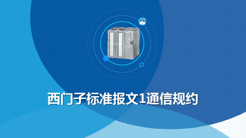 美化西门子标准报文1通信规约     10页