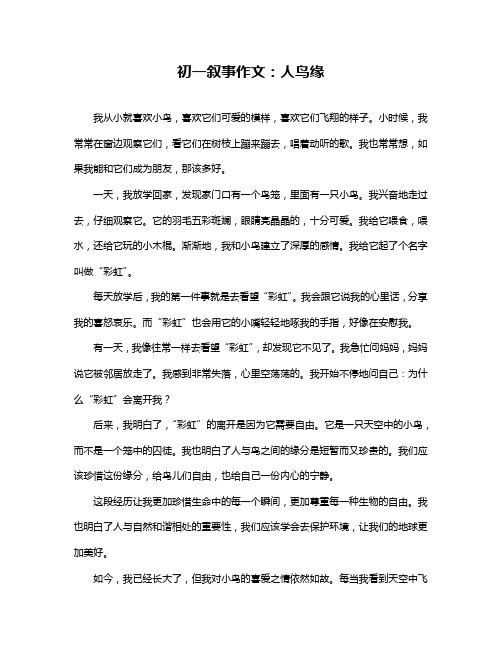 初一叙事作文：人鸟缘