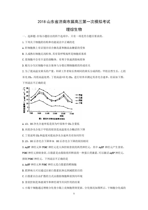 2018山东省济南市高三第一次模拟考试理综生物