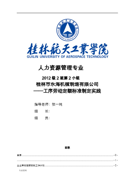 劳动定额分析实施报告