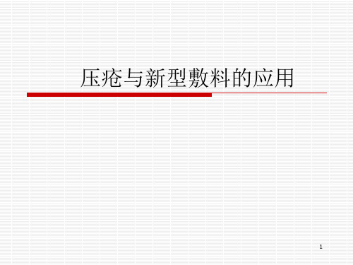 压疮与新型敷料应用ppt课件