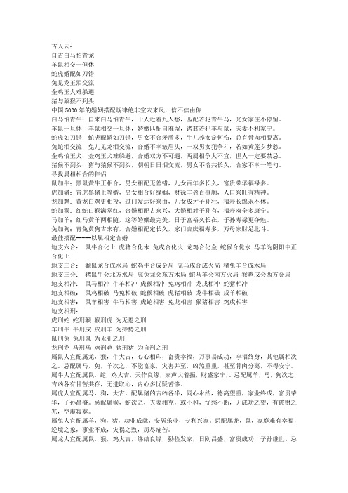 十二生肖相生相克