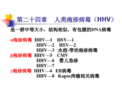有包膜DNA病毒
