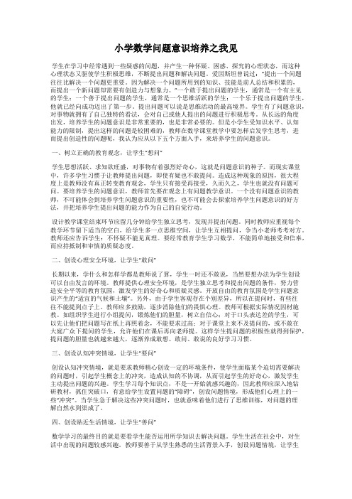 小学数学问题意识培养之我见