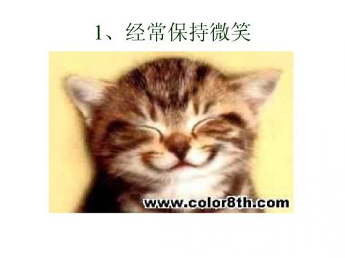 快乐法则(2)