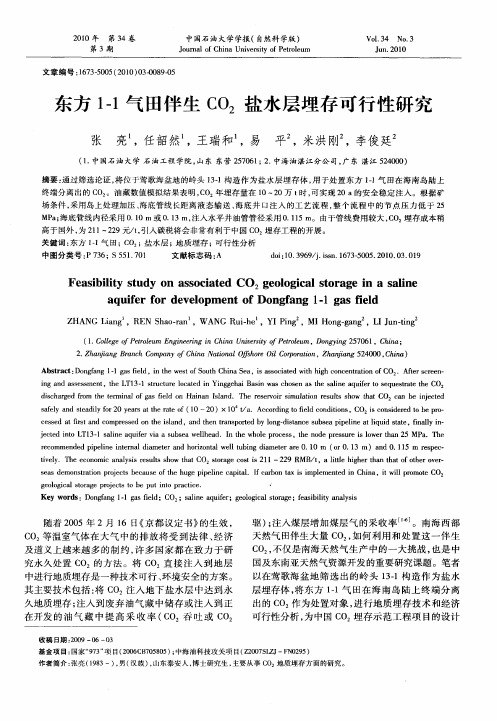 东方1-1气田伴生CO2盐水层埋存可行性研究
