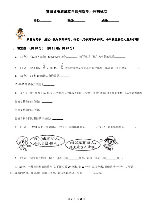 青海省玉树藏族自治州数学小升初试卷