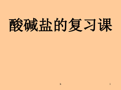 初三化学下学期酸碱盐复习、练习-PPT课件