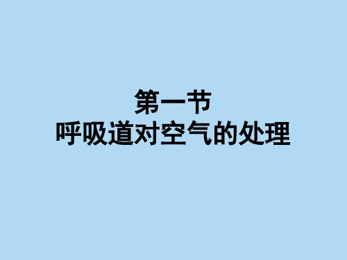 人教版七年级生物下册课件：4.3.1 呼吸道对空气的处理 (共34张PPT)