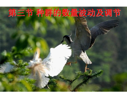 高二生物种群的数量波动及调节