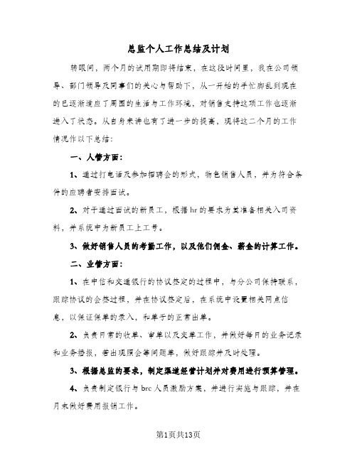 总监个人工作总结及计划(4篇)