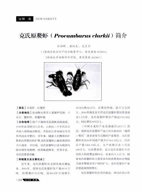 克氏原螯虾(Procambarus clarkii)简介