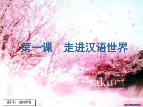 《走进汉语的世界》.ppt