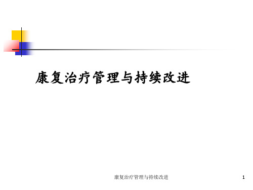 康复治疗管理与持续改进 ppt课件