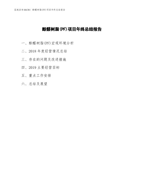酚醛树脂(PF)项目年终总结报告