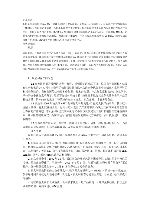 长虹国际市场战略分析