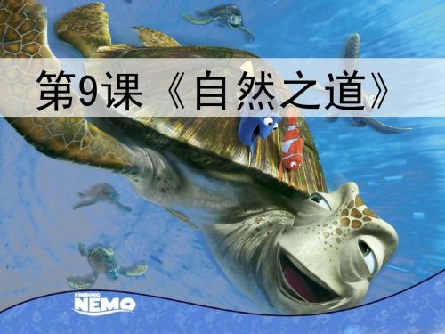 《自然之道》