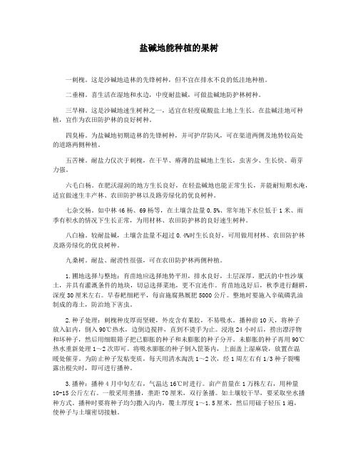 盐碱地能种植的果树