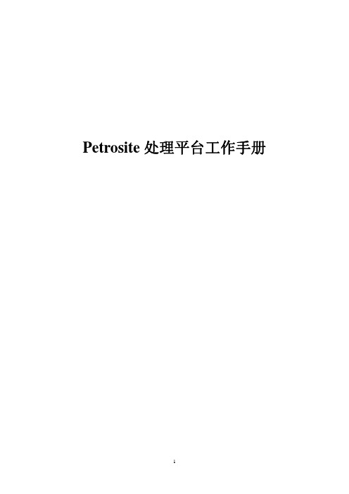 Petrosite手册--P型核磁测井处理