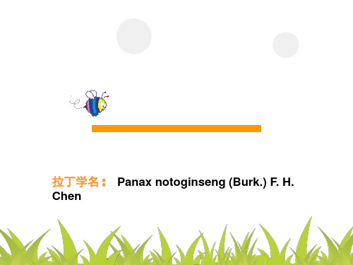 三七ppt--南药资源概论