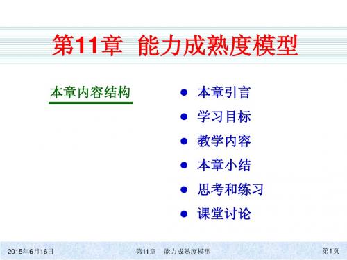 管理信息系统原理与应用(第三版)ch11简明教程PPT课件