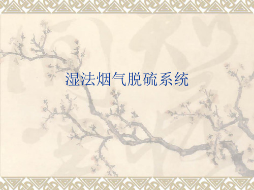 FGD系统介绍