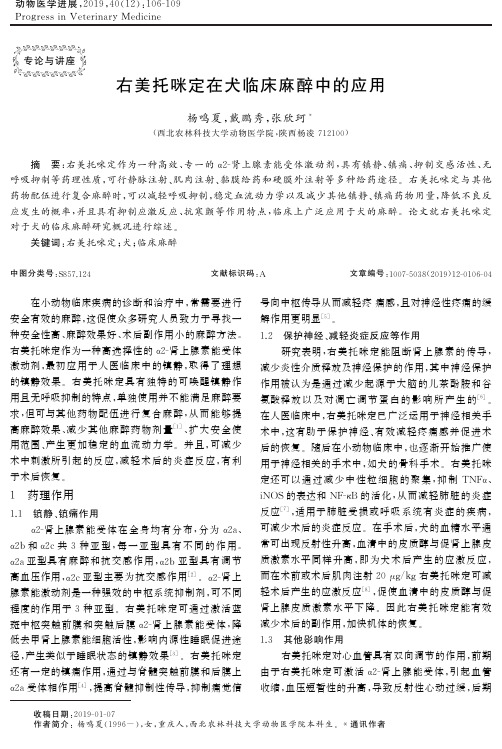 右美托咪定在犬临床麻醉中的应用