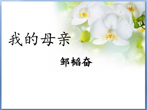 苏教版八年级语文上册《三单元 至爱亲情  十四 我的母亲》研讨课件_12