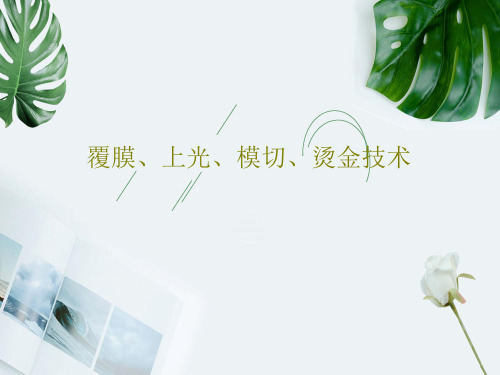 覆膜、上光、模切、烫金技术PPT文档37页