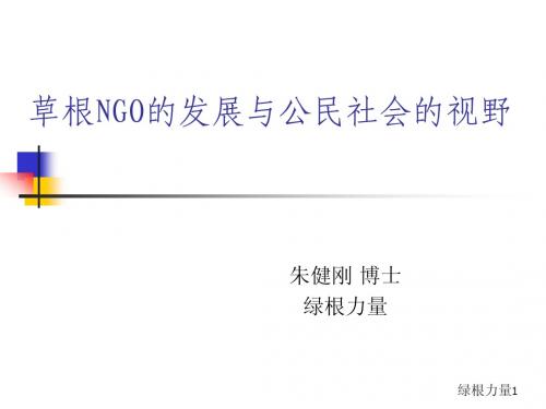 NGO视角